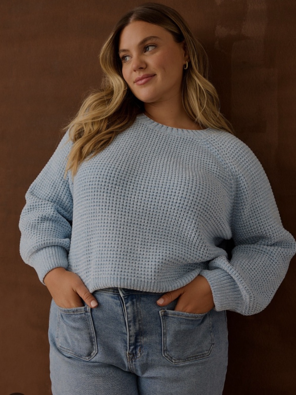 Arula Haisley Waffle Chenille Crop Sweater NWT 2X
